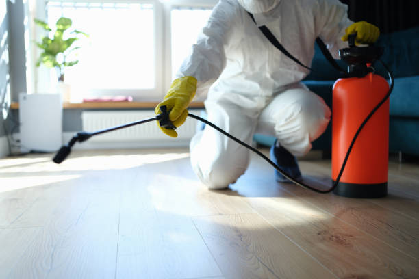 Reliable Infectious Disease Decontamination contractor in Arvin, CA by Trauma Clean Pros